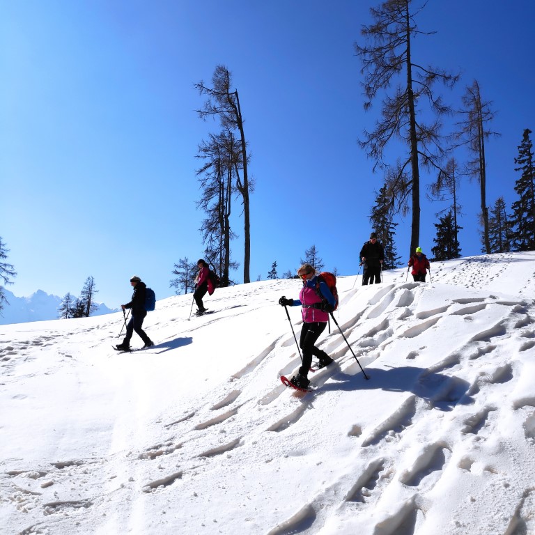 Wandern mit Micha - in der Region Murtal und darüber hinaus