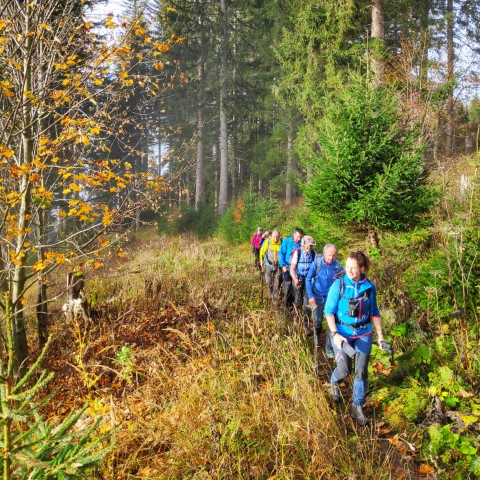 Wandern mit Micha - in der Region Murtal und darüber hinaus