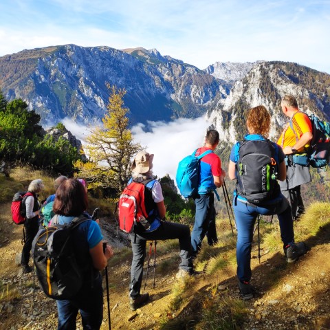 Wandern mit Micha - in der Region Murtal und darüber hinaus