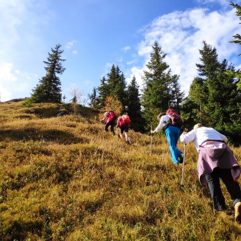 Wandern mit Micha - in der Region Murtal und darüber hinaus