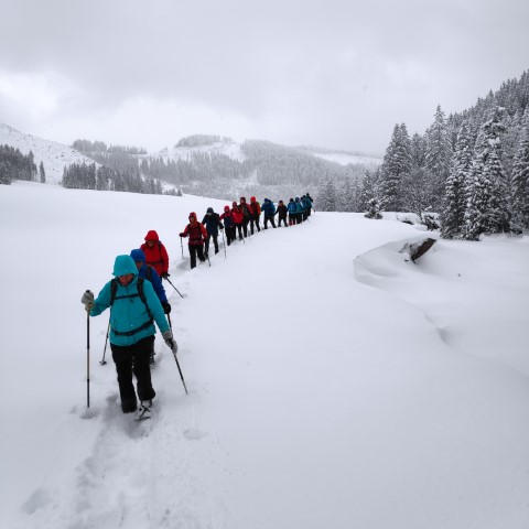 Wandern mit Micha - in der Region Murtal und darüber hinaus