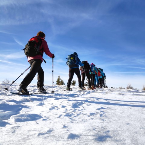 Wandern mit Micha - in der Region Murtal und darüber hinaus