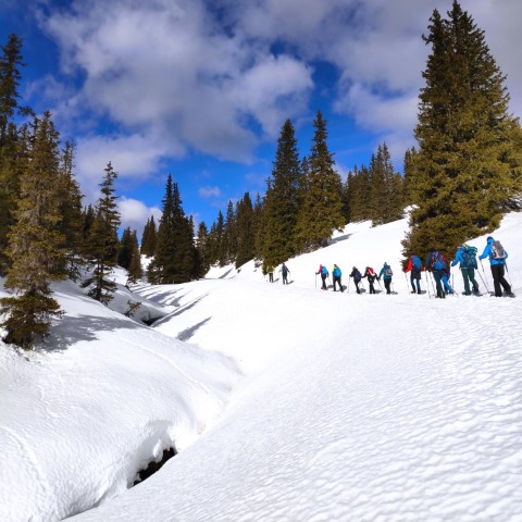 Wandern mit Micha - in der Region Murtal und darüber hinaus