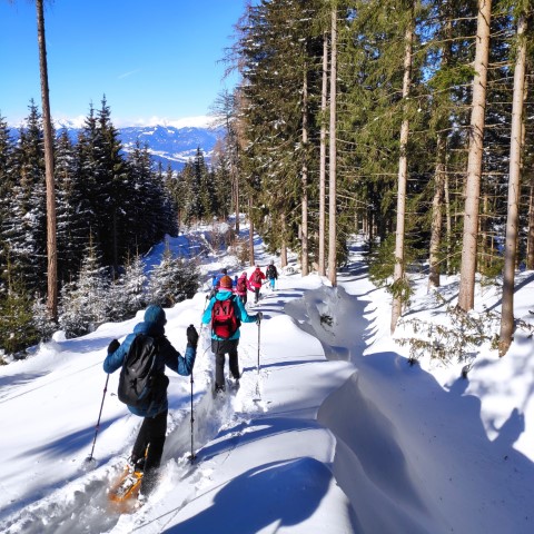 Wandern mit Micha - in der Region Murtal und darüber hinaus