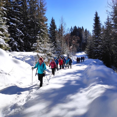 Wandern mit Micha - in der Region Murtal und darüber hinaus