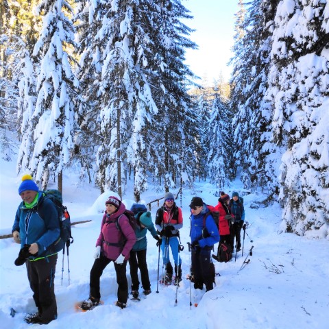 Wandern mit Micha - in der Region Murtal und darüber hinaus