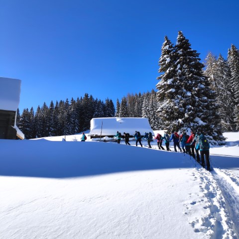 Wandern mit Micha - in der Region Murtal und darüber hinaus