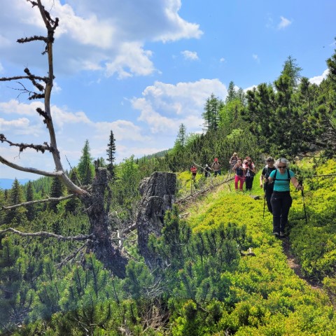 Wandern mit Micha - in der Region Murtal und darüber hinaus