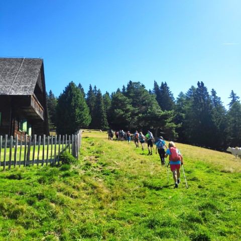 Wandern mit Micha - in der Region Murtal und darüber hinaus