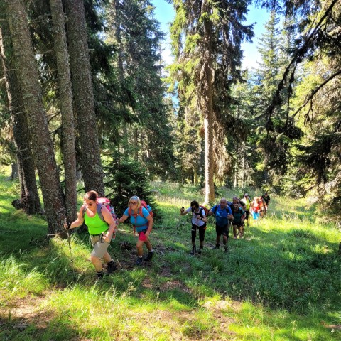 Wandern mit Micha - in der Region Murtal und darüber hinaus