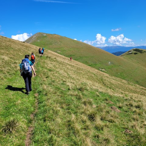 Wandern mit Micha - in der Region Murtal und darüber hinaus