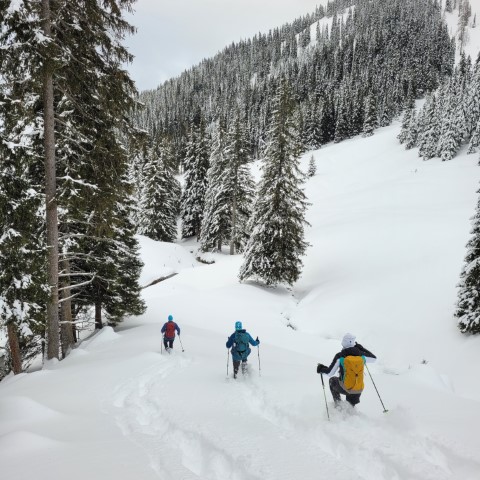 Wandern mit Micha - in der Region Murtal und darüber hinaus