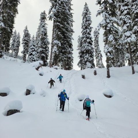 Wandern mit Micha - in der Region Murtal und darüber hinaus