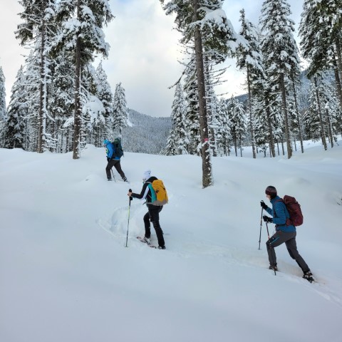Wandern mit Micha - in der Region Murtal und darüber hinaus