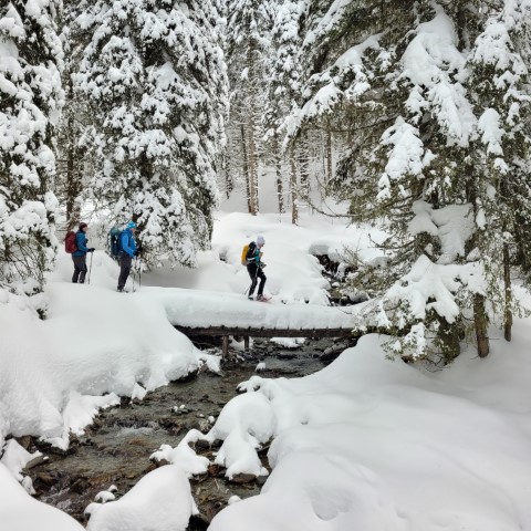 Wandern mit Micha - in der Region Murtal und darüber hinaus