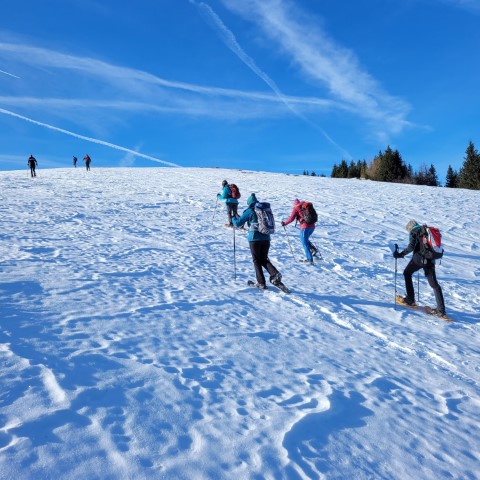 Wandern mit Micha - in der Region Murtal und darüber hinaus