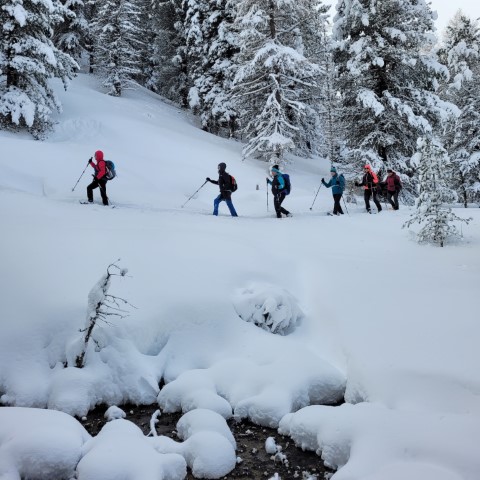 Wandern mit Micha - in der Region Murtal und darüber hinaus