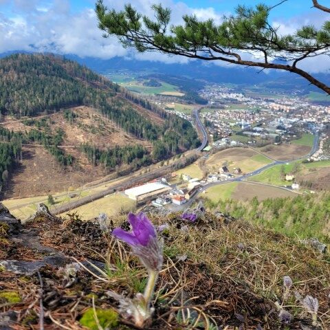 Wandern mit Micha - in der Region Murtal und darüber hinaus