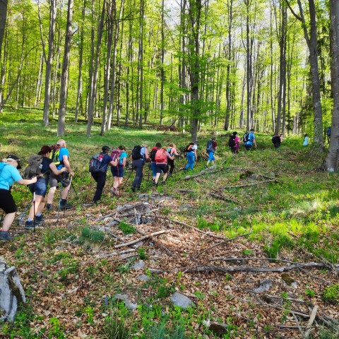 Wandern mit Micha - in der Region Murtal und darüber hinaus