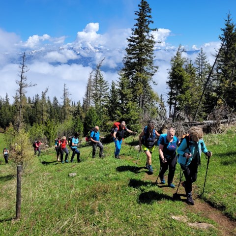 Wandern mit Micha - in der Region Murtal und darüber hinaus