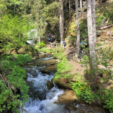 Wandern mit Micha - in der Region Murtal und darüber hinaus