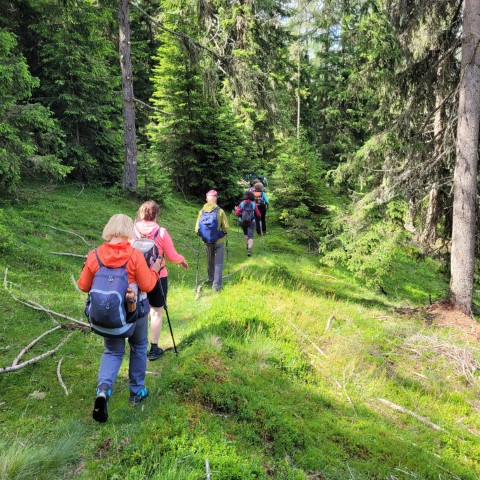 Wandern mit Micha - in der Region Murtal und darüber hinaus