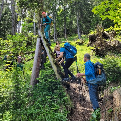 Wandern mit Micha - in der Region Murtal und darüber hinaus