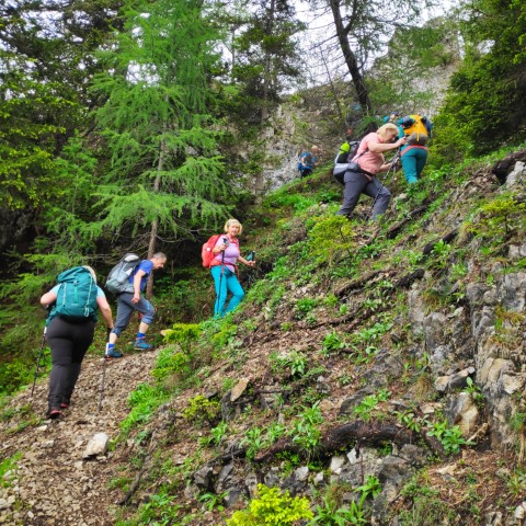 Wandern mit Micha - in der Region Murtal und darüber hinaus