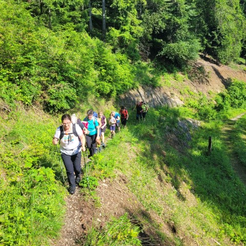 Wandern mit Micha - in der Region Murtal und darüber hinaus