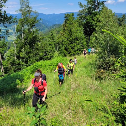 Wandern mit Micha - in der Region Murtal und darüber hinaus