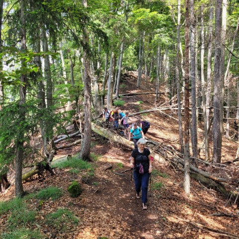 Wandern mit Micha - in der Region Murtal und darüber hinaus