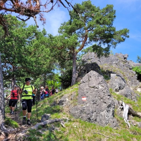 Wandern mit Micha - in der Region Murtal und darüber hinaus