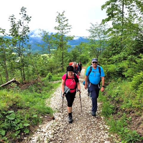 Wandern mit Micha - in der Region Murtal und darüber hinaus