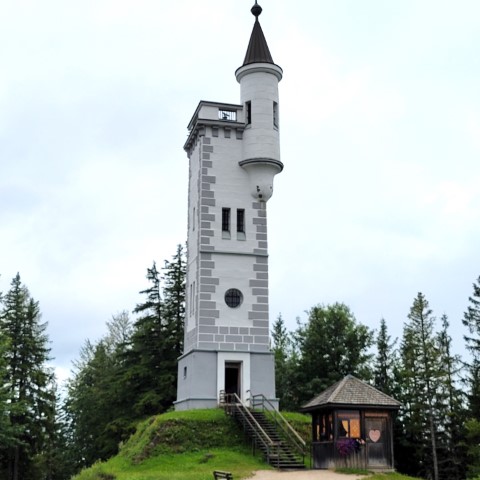 Wandern mit Micha - in der Region Murtal und darüber hinaus