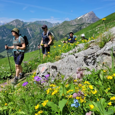 Wandern mit Micha - in der Region Murtal und darüber hinaus
