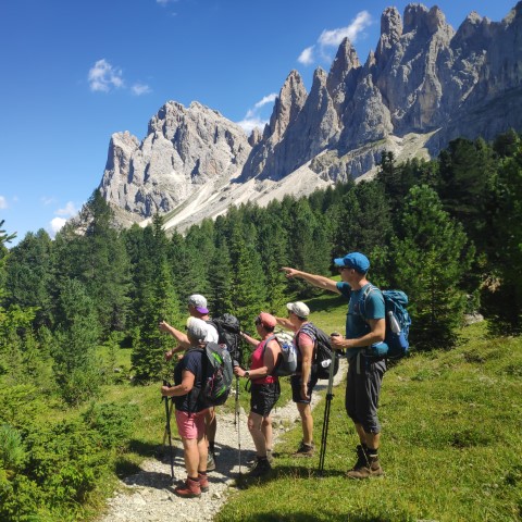 Wandern mit Micha - in der Region Murtal und darüber hinaus