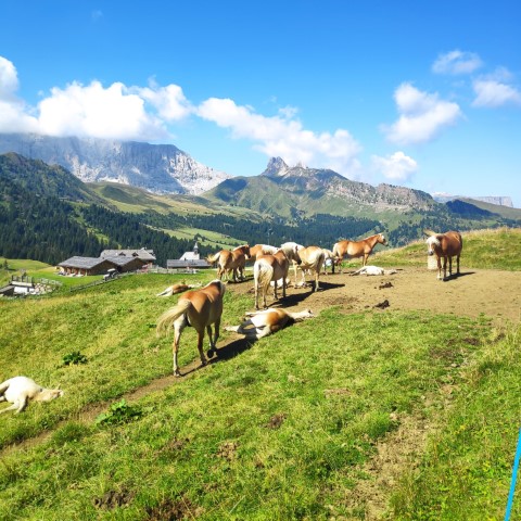 Wandern mit Micha - in der Region Murtal und darüber hinaus