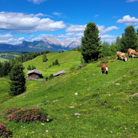 Wandern mit Micha - in der Region Murtal und darüber hinaus
